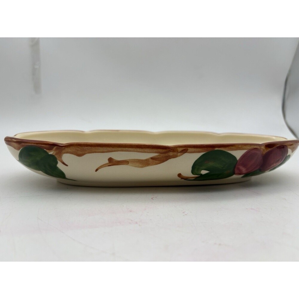 Franciscan Apple Pattern 264 Relish Celery Tray Platter California USA